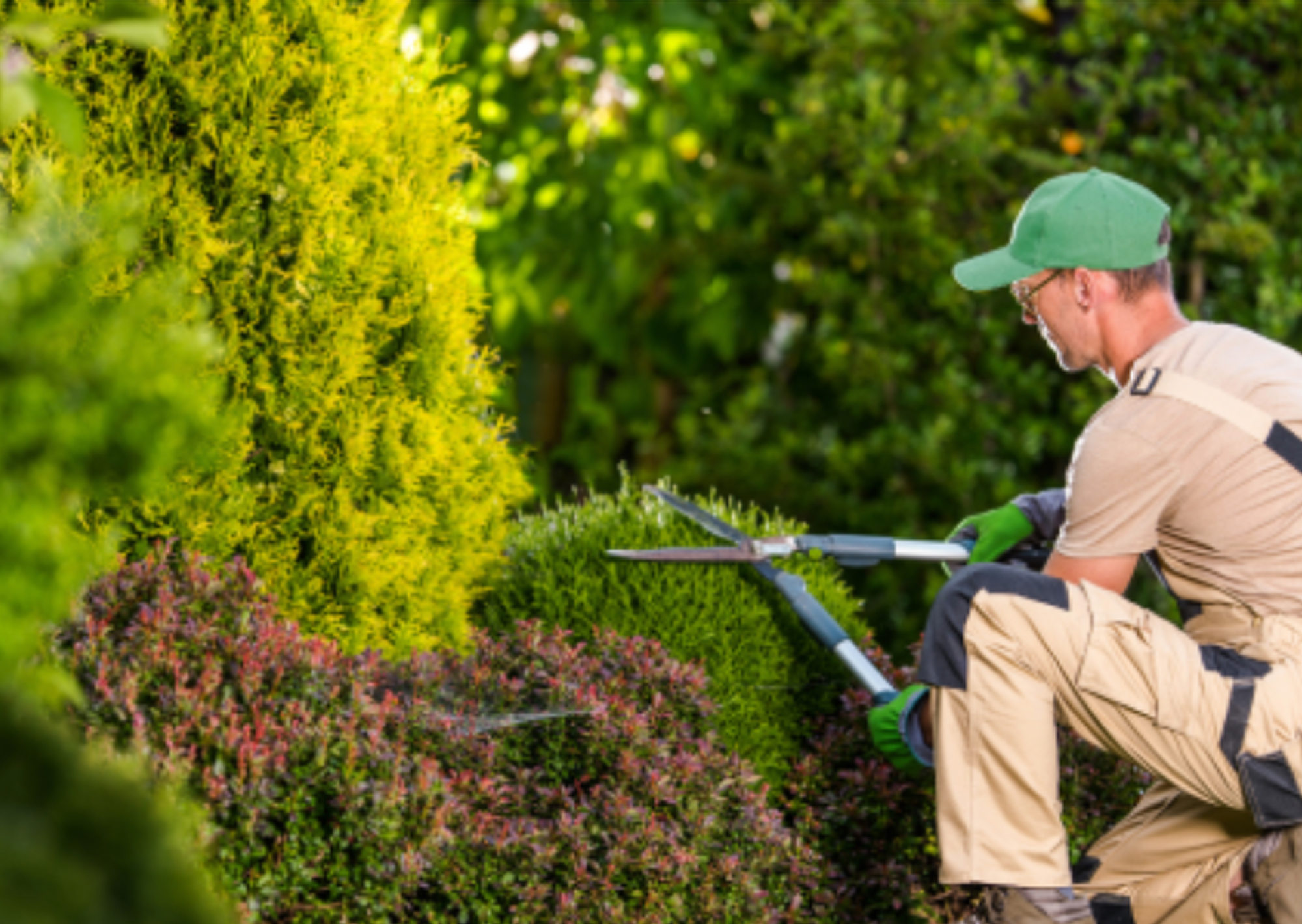 Palmy Studio - Lars Bofinger Gartenanlagen